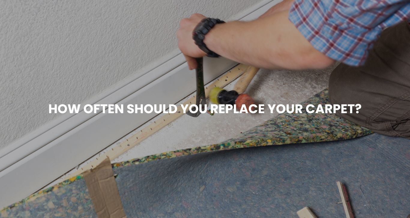 how often should you replace your carpet